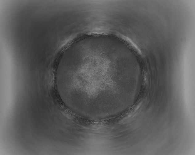 X0000111811350200908061107