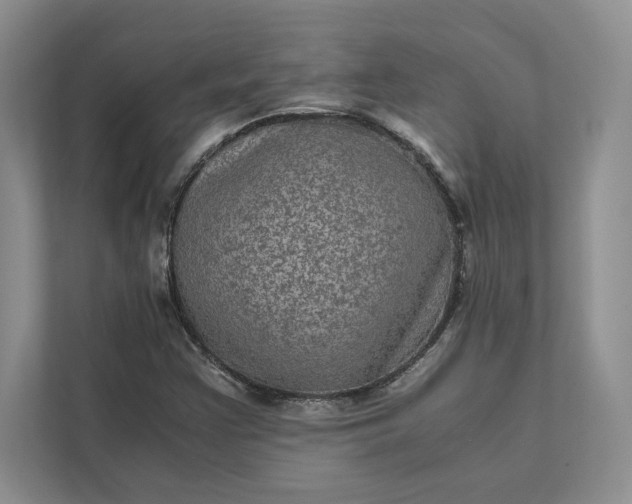X0000111811355200908061107