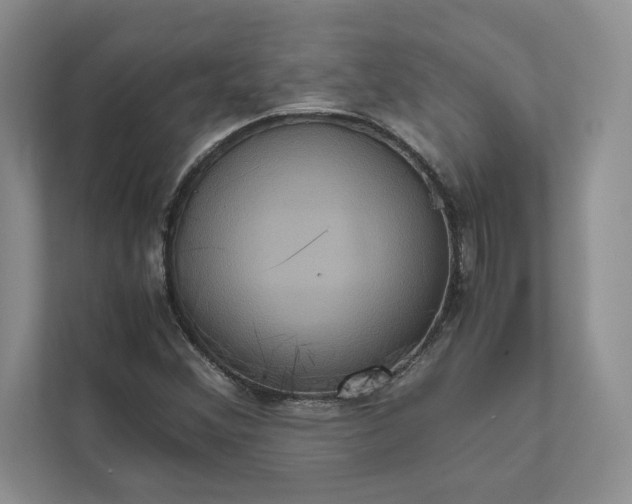 X0000111811356200908061107