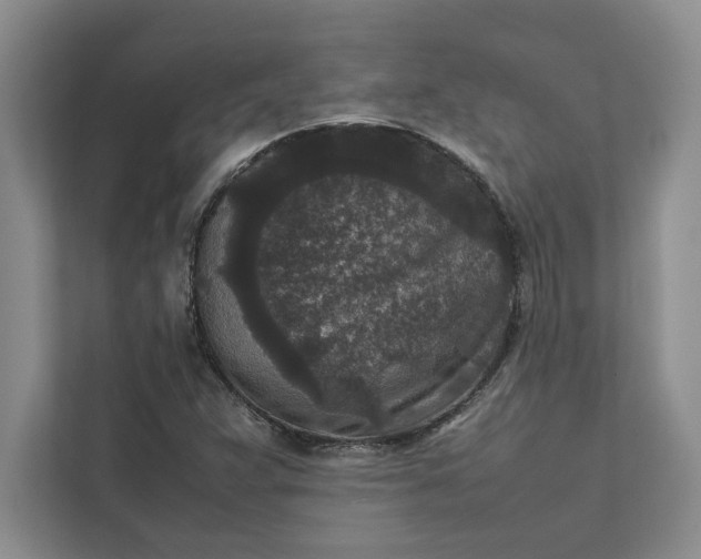 X0000111811359200908061107