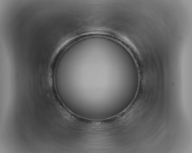 X0000111811360200908061107