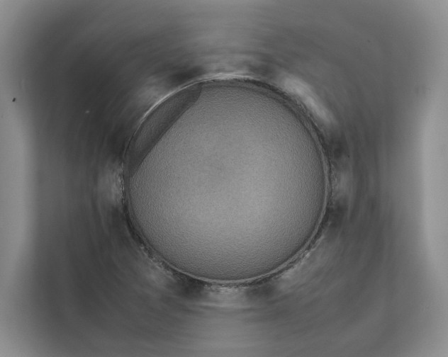 X0000111811361200908061107