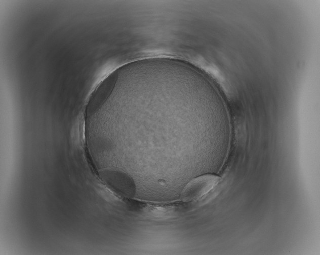 X0000111811365200908061107
