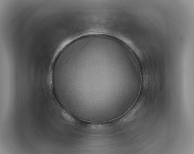 X0000111811366200908061107