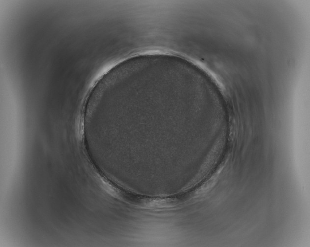 X0000111811367200908061107