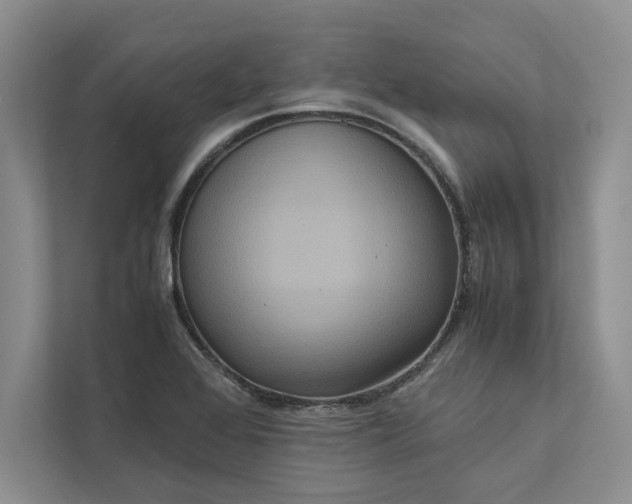 X0000111811368200908061107