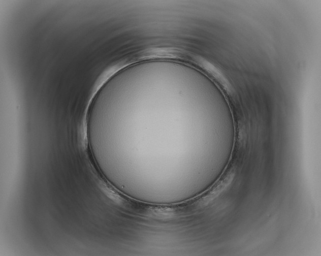 X0000111811370200908061107