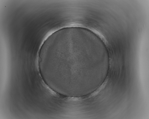 X0000111811374200908061107