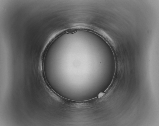 X0000111811376200908061107