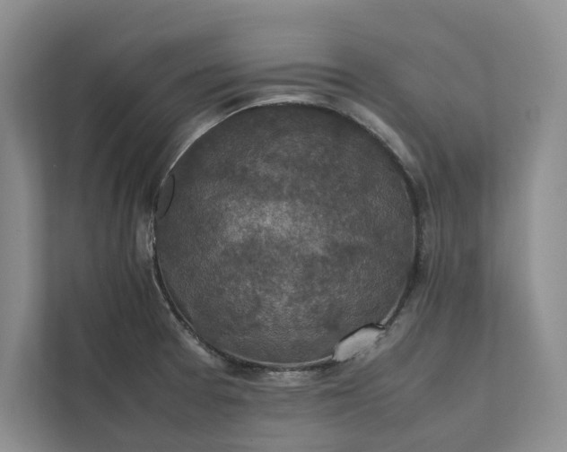 X0000111811377200908061107