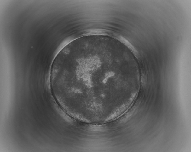 X0000111811378200908061107