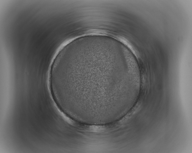 X0000111811379200908061107