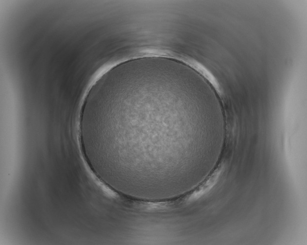 X0000111811381200908061107