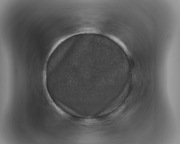 X0000111811383200908061107