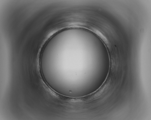 X0000111811384200908061107