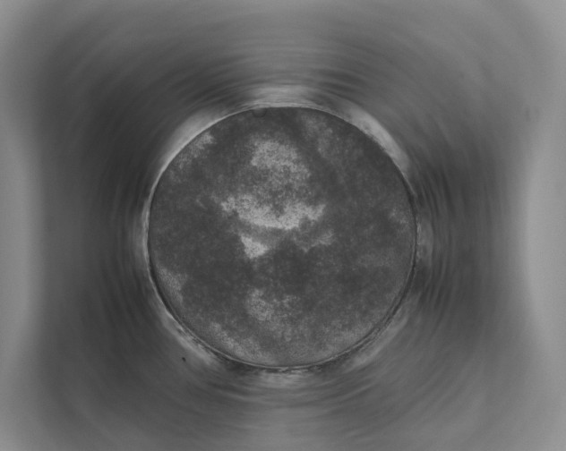 X0000111811386200908061106