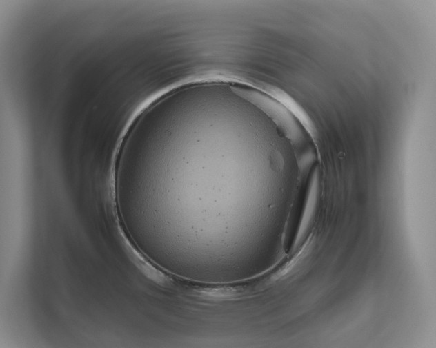 X0000111811388200908061106