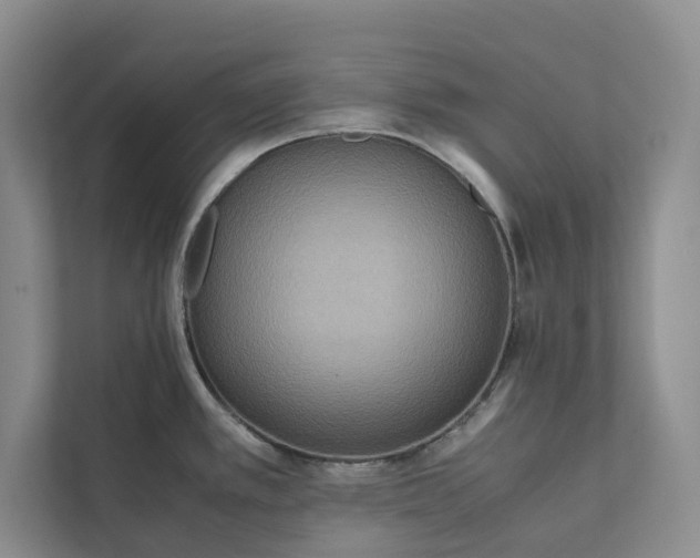 X0000111811389200908061106