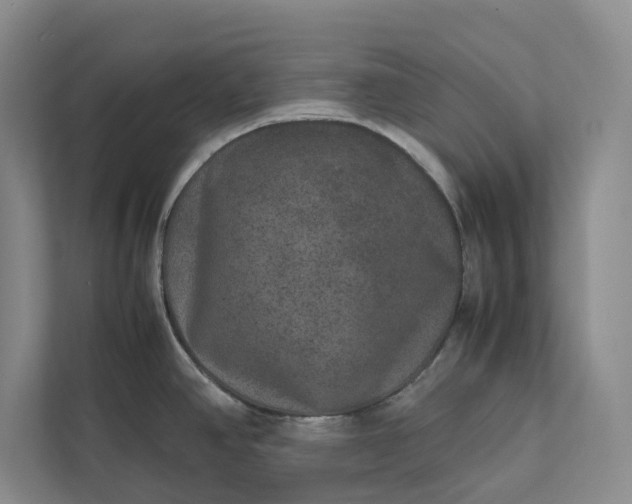 X0000111811390200908061106
