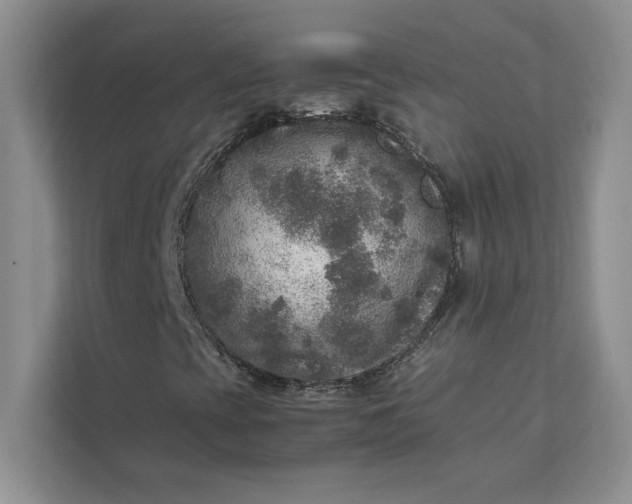 X0000111811393200908061106