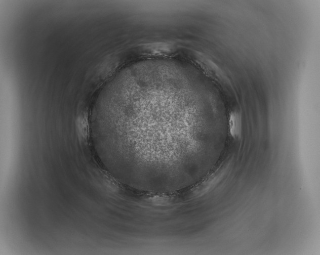 X0000111811395200908061106