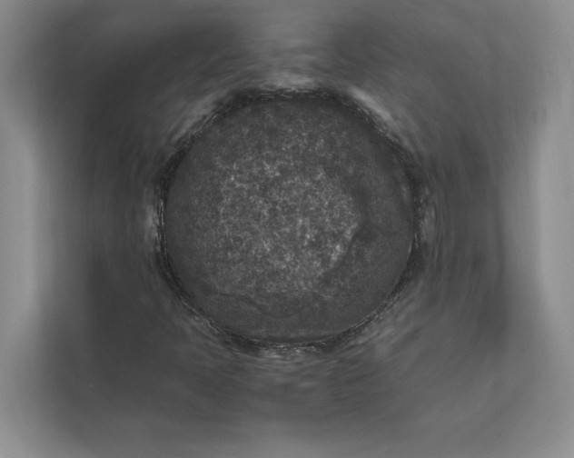 X0000111811397200908061106