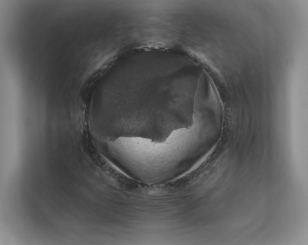 X0000111811399200908061106