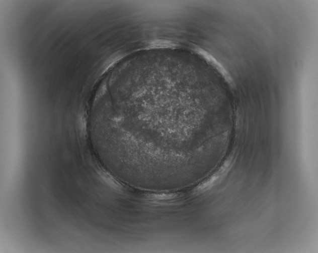 X0000111811401200908061106