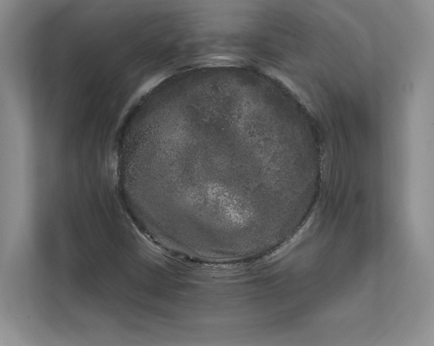 X0000111811402200908061106