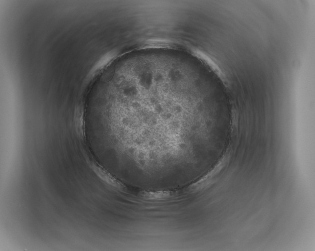 X0000111811403200908061106