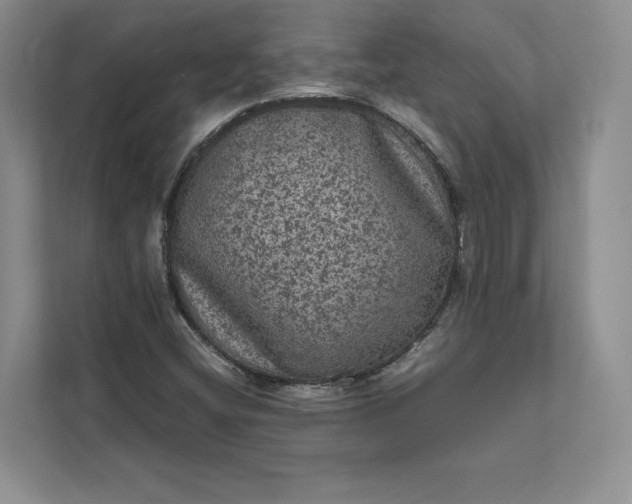 X0000111811404200908061106