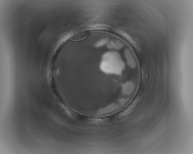 X0000111811405200908061106