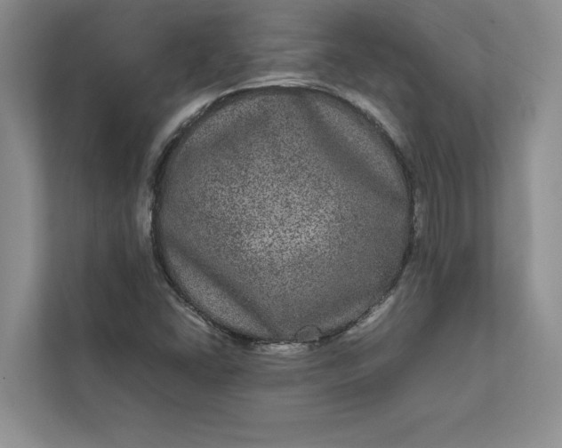 X0000111811406200908061106