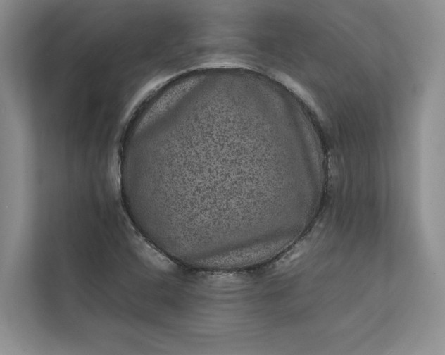 X0000111811408200908061106