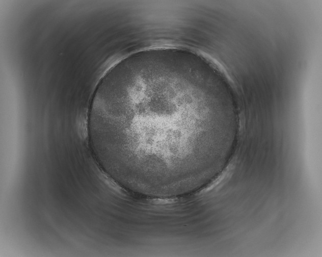 X0000111811409200908061106
