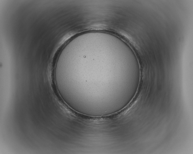 X0000111811410200908061106