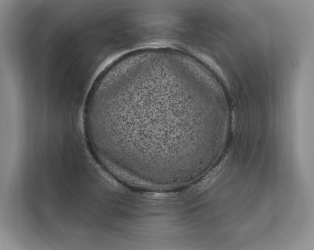 X0000111811412200908061106