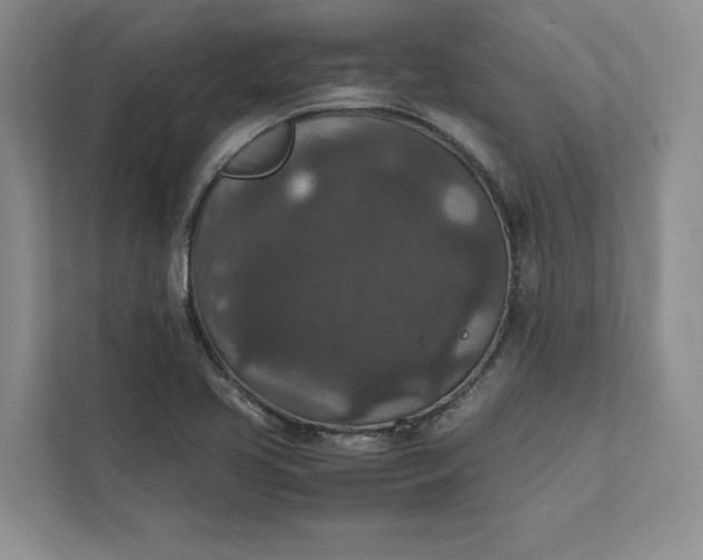X0000111811413200908061106