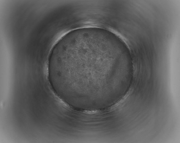 X0000111811415200908061106