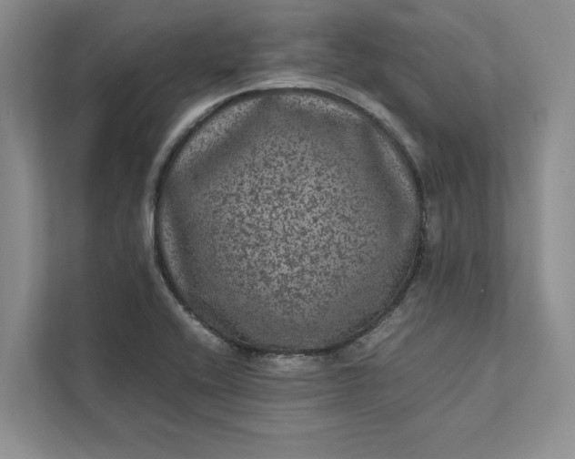 X0000111811416200908061106