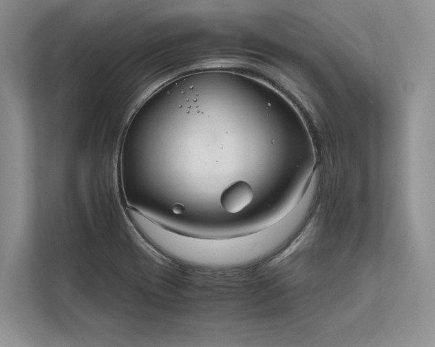 X0000111811417200908061106