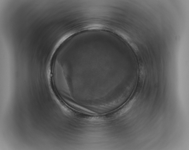 X0000111811418200908061106