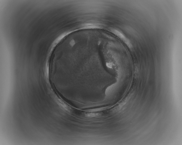X0000111811419200908061106