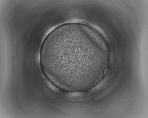 X0000111811420200908061106