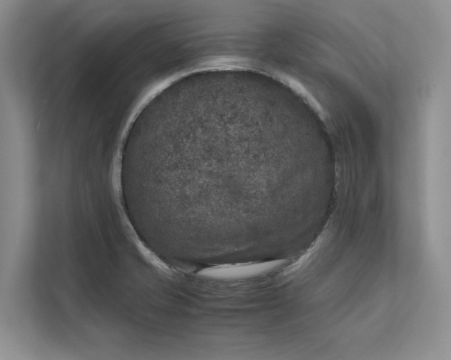 X0000111811421200908061106