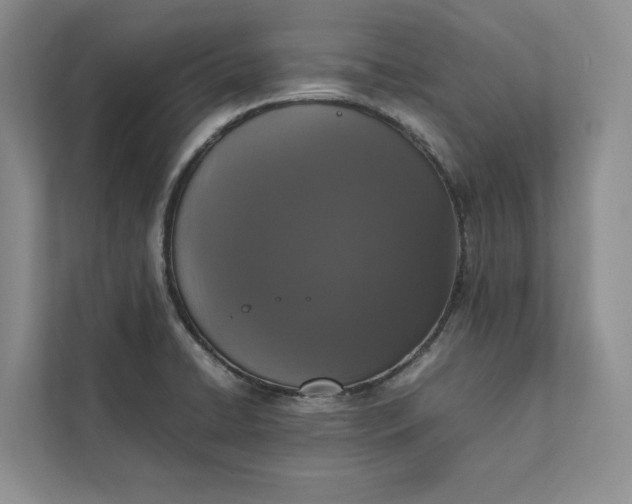 X0000111811422200908061106