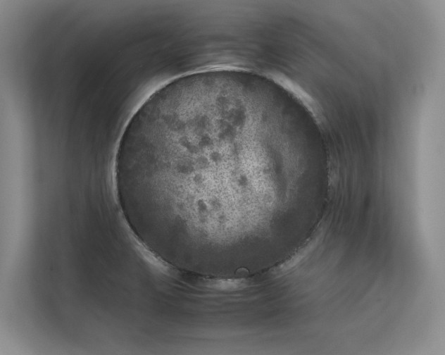 X0000111811423200908061106