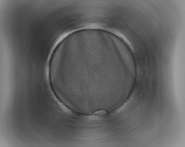 X0000111811424200908061106