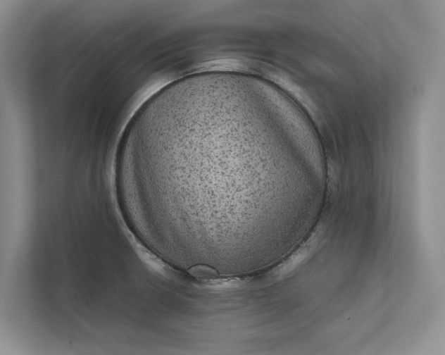 X0000111811426200908061106