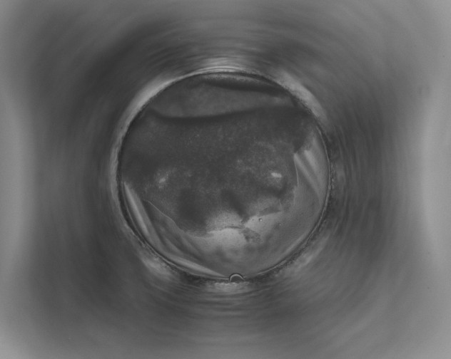 X0000111811427200908061106
